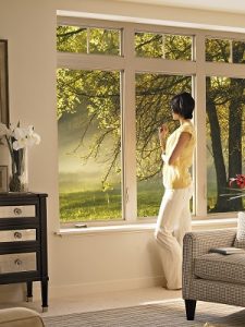 replacement windows in Laguna Niguel CA